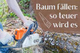 Check spelling or type a new query. Baum Fallen Diese Kosten Entstehen Tatsachlich