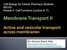 Dr. Syed Abdullah Gilani