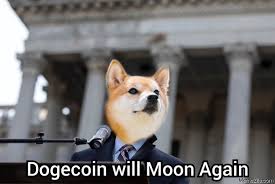 Twitter responds with memes galore as elon musk takes dogecoin to the moon. Dogecoin To The Moon Memes Memezila Com