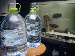 Check spelling or type a new query. How Long Does Water Take To Dechlorinate Fish Tank Master