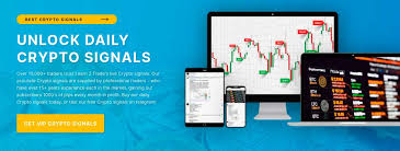 Crypto trading bitcoin | pumps & signals telegram channel @crypto_trading_bitcoin. Best Crypto Signals Telegram Groups 2021 Top Free Signals