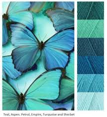 Black Blue And White Butterfly Meaning Blue Butterflies Morpho Azul Mariposas Bonitas Paleta De Colores