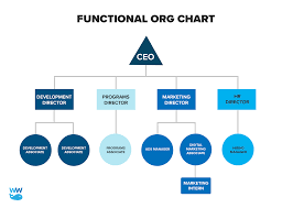 nonprofit org chart how to set up a simple organization