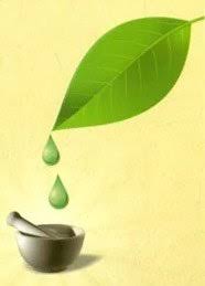 Image result for Heinsia