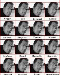 The Baboons Guide To The Internet Steven Seagal Emotion Chart