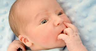 Week 6 Your 6 Week Old Baby Bounty