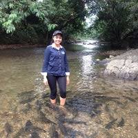 Maklum balas dari pengunjung di luanti fish spa ranau. Kg Luanti Fish Spa 27 Tipps