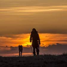 Alpha Review A Surprising Movie About A Prehistoric Boy And His Dog Vox