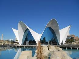 Image result for Calatrava