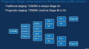 Image result for Breast Cancer Staging