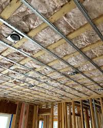 Labradesignbuildmaking Efforts Block Sound Between The First Floor And The Bedrooms Basement Ceiling Ideas Cheap Soundproof Basement Ceiling Basement Ceiling