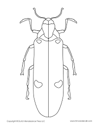 They vary in size from 0.05 inches to 2.5 inches (1 mm to 6 cm), depending on the species. Beetle Coloring Page Tim S Printables
