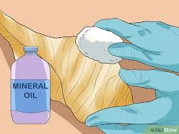 First, find a bucket and some bleach. How To Clean Conch Shells 10 Steps With Pictures Wikihow