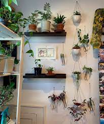60 Indoor Plants Decor And Plants Shelves Ideas To Brighten Up Your Room Flymeso Blog Plant Decor Plant Decor Indoor Plant Shelves