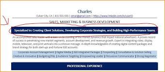 what is a resume title? (+30 examples