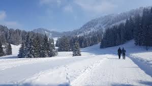 Themed culinary hikes are a signature programme in the bregenzerwald: Winterwandern Im Bregenzerwald Die Schonsten Winterwanderwege