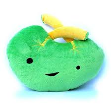 This immune system fighter serves as your primary blood filter and largest lymph organ. Spectacular Spleen 9 Plush Toy Thinkcooltoys