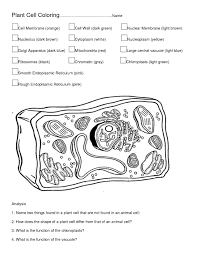 Ch.3 cell membrane coloring worksheet. Pictures Of Plant And Animal Cells To Color Through The Thousand Photos On The Animal Cells Worksheet Plant And Animal Cells Cell Membrane Coloring Worksheet