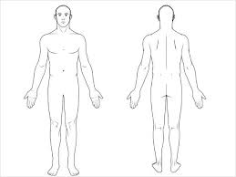 Free Body Diagram Template Download In 2019 Body Diagram