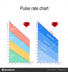 Pulse Rate Chart Healthy Lifestyle Maximum Heart Rate