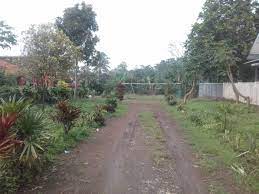 Check spelling or type a new query. Dijual Tanah Kebun 2 Ha Pinggir Jalan Cocok Untuk Perumahan Di Bojong Purwakarta