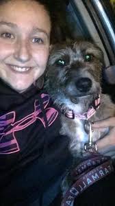 Found dog in Idaho Falls, owners sought