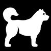 Our office is visible from university. Pet Food Supply Store Holistic For Pets In Sarasota Florida