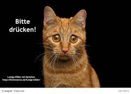 Lustige einladungssprüche zum kindergeburtstag 18ter geburtstag. Lustige Bilder Mit Spruchen Witzige Bilder Kostenlos Downloaden