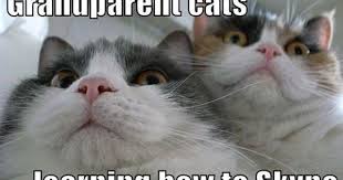 30 Funny Animal Captions Part 8 30 Pics Animals At Repinned Net