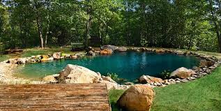 Granite Boulder Natural Swimming Pool Natural Swimming Ponds Swimming Pool Pond Natural Swimming Pools