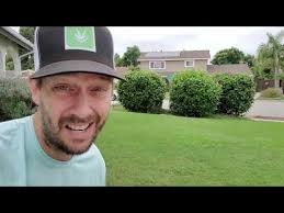 Better Than Fertilizer