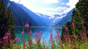 Download these free nature wallpapers to decorate your background and be mesmerized by the sheer beauty of nature. Beautiful Nature Mountain Lake Flowers Free Hd Wallpaper Wallpapers13 Com