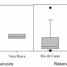 Image result for Urochloa arrecta