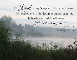 He leads me in the paths of righteousness for his name's sake. The Lord Is My Shepherd Bible Verse