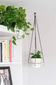 Learn How To Hang A Planter From The Ceiling Including Toggle Bolt Installation Tips For Hangi Hang Plants From Ceiling Hanging Plant Holder Plant Pot Holders