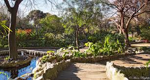 Lion S Pond The Alameda Gibraltar Botanic Gardens