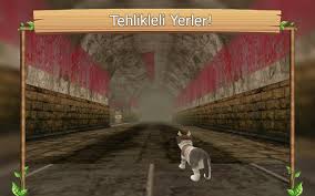 Android Icin Cevrimici Kedi Simulatoru Apk Yi Indir