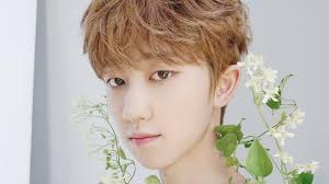 Maybe you would like to learn more about one of these? Seventeen S The8 Taking Break From All Activities Due To Injury Soompi