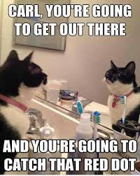 Pin On Laughed Out Loud