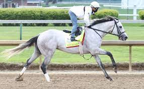May 01, 2021 · kentucky derby horse profile: Soup And Sandwich 2022 Kentucky Derby Oaks May 6 And May 7 2022