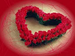 Kết quả hình ảnh cho hình ảnh hoa hồng