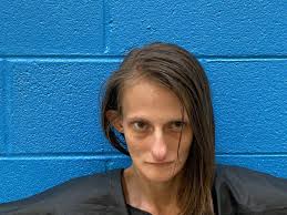 Biddle and Riddle Charged with Felony Identity Theft Detective Kyle Gibson  with McDowell County Sheriff's Office charged 30-year-old Tyrees Biddle of  Marion with felony Identity Theft. He received a secured bond in