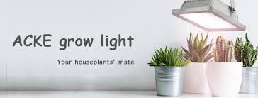 We did not find results for: Acke Grow Light Home Facebook
