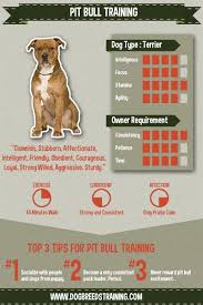 Pit Bull Training I Agree With Everything In This Chart