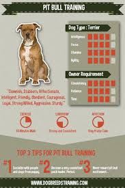 pit bull training i agree with everything in this chart