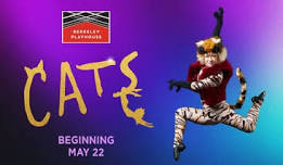Cats The Musical