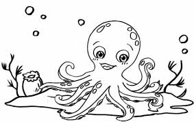 Check spelling or type a new query. Octopus Coloring Pages Pdf Printable Free Coloring Sheets
