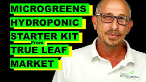 MICROGREENS HYDROPONIC STARTER KIT TRUE LEAF MARKET || Grow Kohlrabi