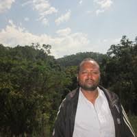 Image result for Monothecium glandulosum