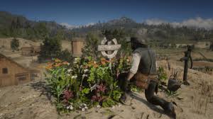 Her grave is at the very northern part of davey callander grave location. Arthur S Grave At Beechers Hope Red Dead Redemption 2 Mod
